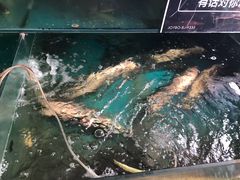 -大鹅岛灶台鱼·铁锅炖(水库路店)