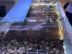 -聚盛源蒸汽海鲜火锅烤肉自助(巨川金海岸购物广场店)