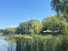 -北坞公园