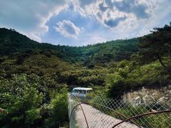 -济南马套将军山