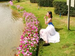-亚龙湾国际玫瑰谷