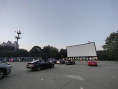 -枫花园汽车电影院(朝阳公园店)