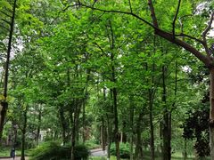 -重庆彩云湖湿地公园