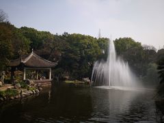 -叶家花园