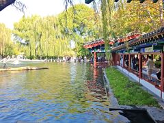 -百脉泉景区