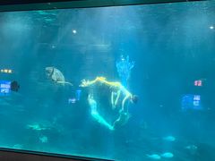 -福州罗源湾海洋世界旅游区