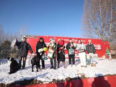 -宠乐会宠物乐园