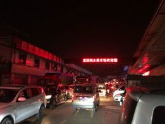 -菜园坝水果市场