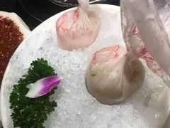 -一斗火锅·招财羊毛肚(泰吉滨江店)