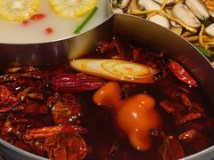 -青瓷火锅料理(西单大悦城店)