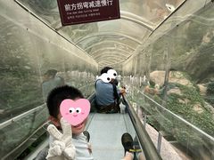-嵖岈山风景区