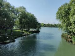 -九里河湿地公园