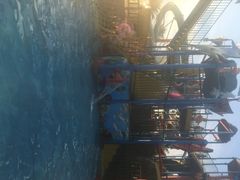 苏州乐园•水上世界-苏州乐园森林水世界