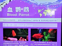 -太奥幻太奇海洋馆