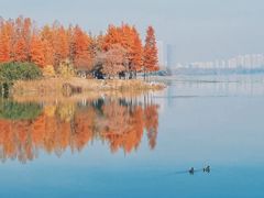 -东湖生态旅游风景区
