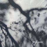 云龟山露营记