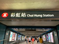 -彩虹村