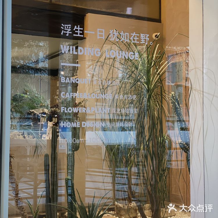 反正来拍拍照还是很可以的