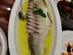 -鲁宴·鲁煨黄河生态大鲤鱼(月坛店)