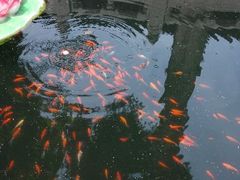 android_upload_pic-碧云寺