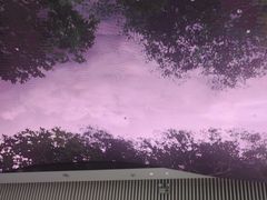 -平安金融中心云际观光层