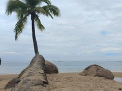 -小海豚•老字号海鲜餐厅(天涯店)