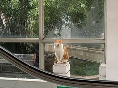 -交通大学（闵行校区）-第二餐饮大楼