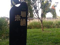 -海珠湖公园