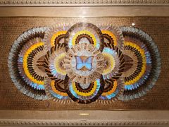 -上海昆虫博物馆