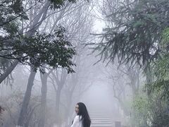 -江南天池
