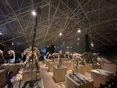 -世界恐龙谷景区