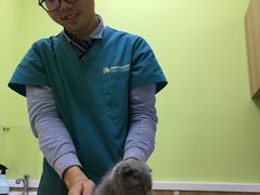 -瑞鹏宠物医院·宠保定点·心脏科·内科(御桥分院)