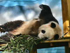 -鄂尔多斯野生动物园