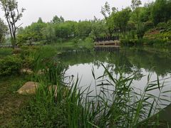-洋湖国家湿地公园