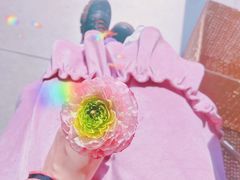 -双季花艺园艺市场(浦东店)