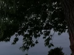 -湧金楼(西湖天地店)