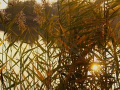 -野鸭湖国家湿地公园