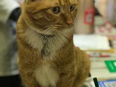 -小时光咖啡馆(开森度假森林店)