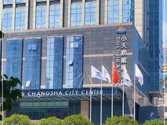 -长沙小天鹅戴斯酒店