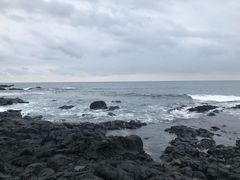 -涉地可支