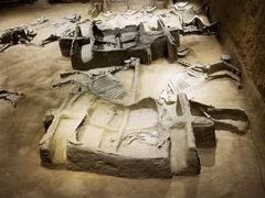 -洛阳周王城天子驾六博物馆