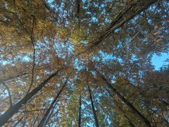 -白鹭湾湿地公园