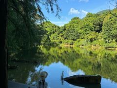 -深圳仙湖植物园
