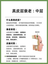 点击看大图 -玛莲朵·海菲秀冰珀科