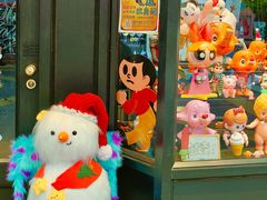 -溪岸路花鸟市场