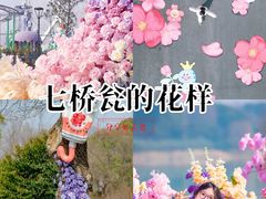 -七桥瓮公园