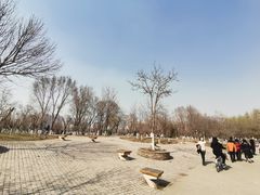 -长白岛森林公园