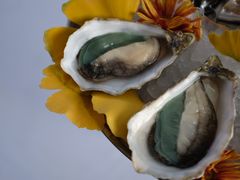 -Oyster Talks 四度蚝法餐厅