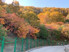 -鬼笑石后山停车场