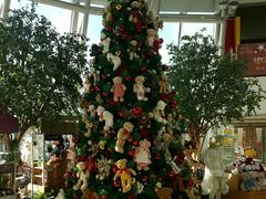 -济州岛泰迪熊博物馆